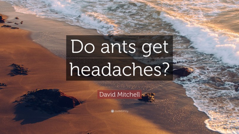 David Mitchell Quote: “Do ants get headaches?”