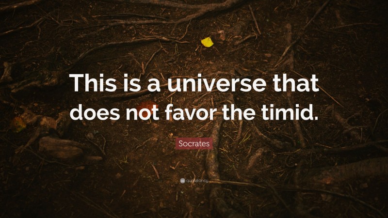Socrates Quote: “This is a universe that does not favor the timid.”