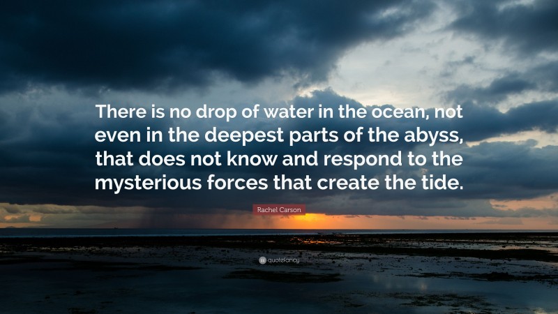 Rachel Carson Quote: “There is no drop of water in the ocean, not even in the deepest parts of the abyss, that does not know and respond to the mysterious forces that create the tide.”