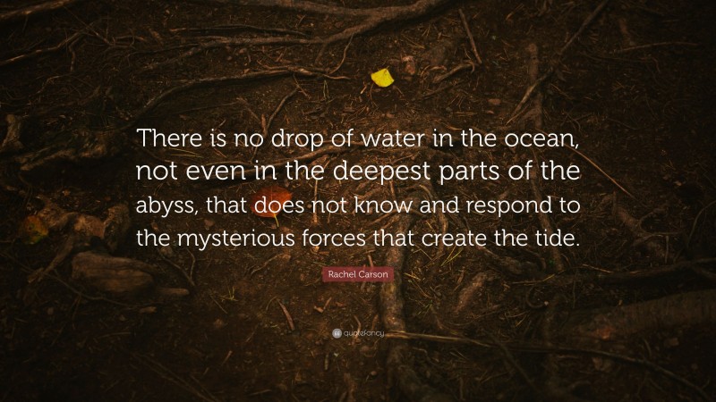 Rachel Carson Quote: “There is no drop of water in the ocean, not even ...