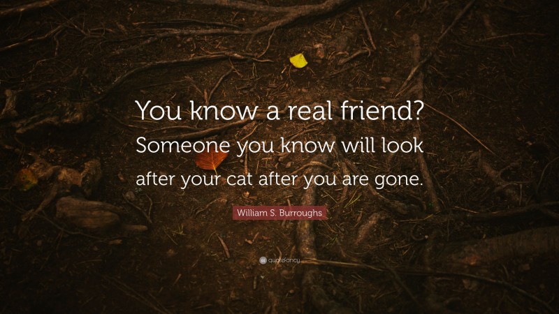 William S. Burroughs Quote: “You know a real friend? Someone you know will look after your cat after you are gone.”