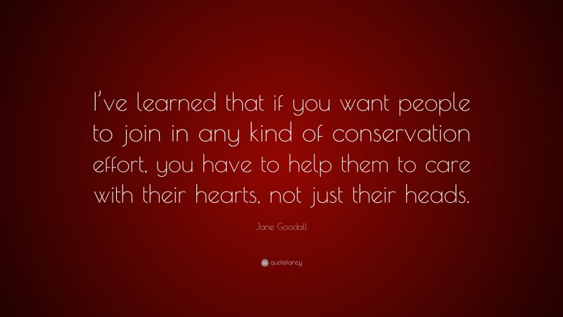 Jane Goodall Quote: “I’ve learned that if you want people to join in any kind of conservation effort, you have to help them to care with their hearts, not just their heads.”