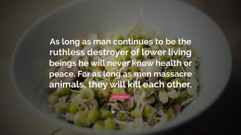 Pythagoras Quote: “As long as man continues to be the ruthless destroyer of lower living beings he will never know health or peace. For as long as men massacre animals, they will kill each other.”