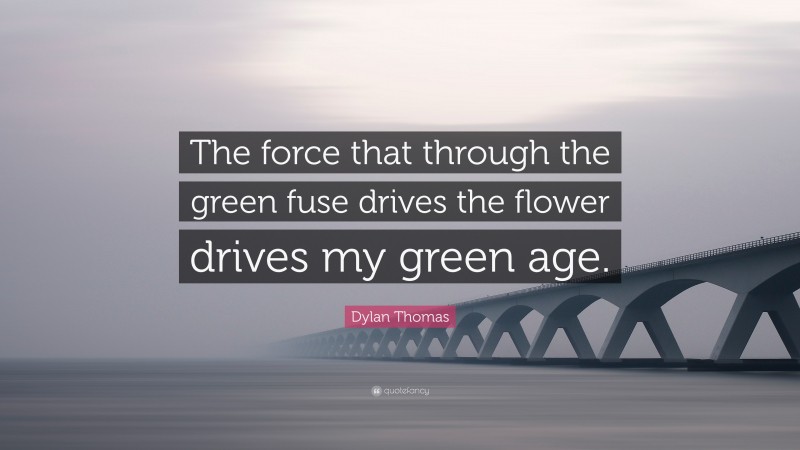 Dylan Thomas Quote: “The force that through the green fuse drives the flower drives my green age.”