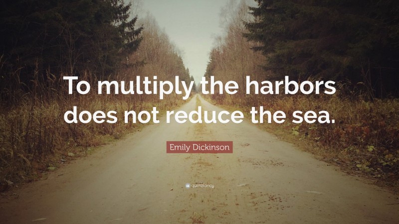 Emily Dickinson Quote: “To multiply the harbors does not reduce the sea.”