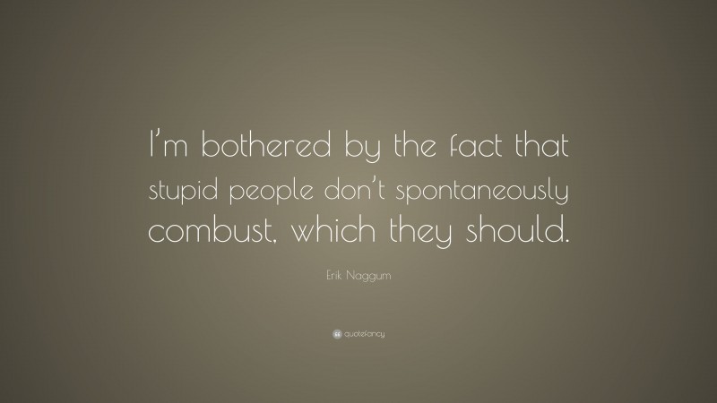 Erik Naggum Quote: “I’m bothered by the fact that stupid people don’t spontaneously combust, which they should.”