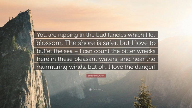 Emily Dickinson Quote: “You are nipping in the bud fancies which I let blossom. The shore is safer, but I love to buffet the sea – I can count the bitter wrecks here in these pleasant waters, and hear the murmuring winds, but oh, I love the danger!”