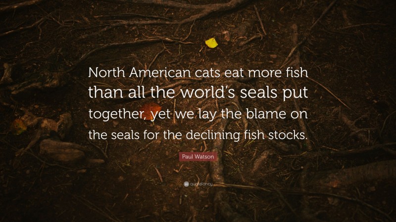 Paul Watson Quote: “North American cats eat more fish than all the world’s seals put together, yet we lay the blame on the seals for the declining fish stocks.”