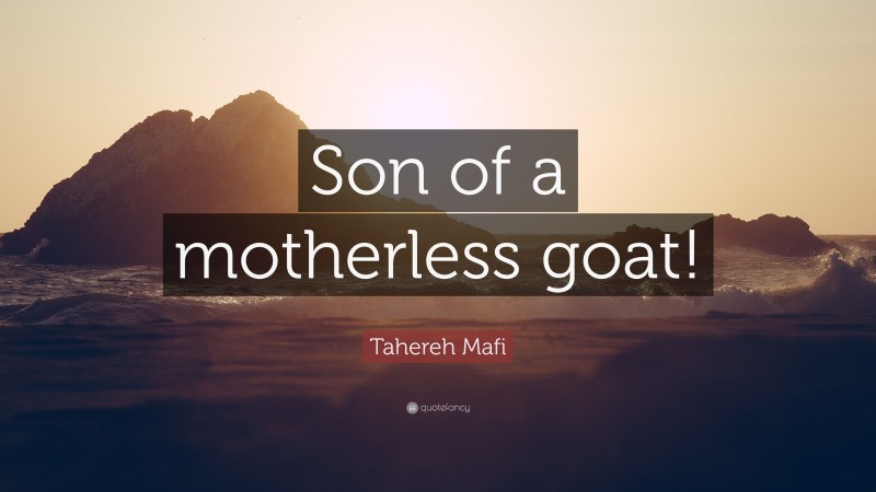 Tahereh Mafi Quote: “Son of a motherless goat!”