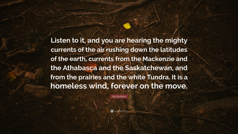 Hal Borland Quote: “Listen to it, and you are hearing the mighty currents of the air rushing down the latitudes of the earth, currents from the Mackenzie and the Athabasca and the Saskatchewan, and from the prairies and the white Tundra. It is a homeless wind, forever on the move.”