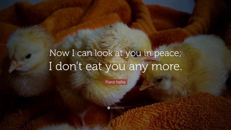 Franz Kafka Quote: “Now I can look at you in peace; I don’t eat you any more.”