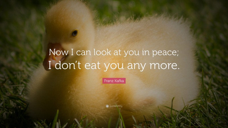 Franz Kafka Quote: “Now I can look at you in peace; I don’t eat you any more.”