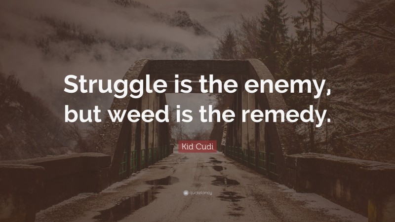 Kid Cudi Quote: “Struggle is the enemy, but weed is the remedy.”