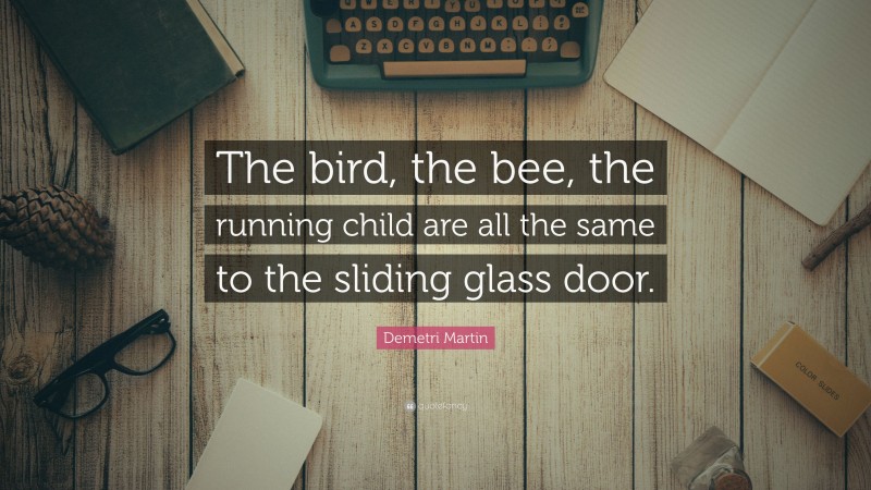 Demetri Martin Quote: “The bird, the bee, the running child are all the same to the sliding glass door.”