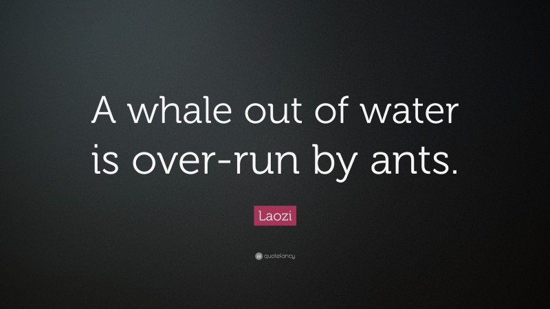 Laozi Quote: “A whale out of water is over-run by ants.”