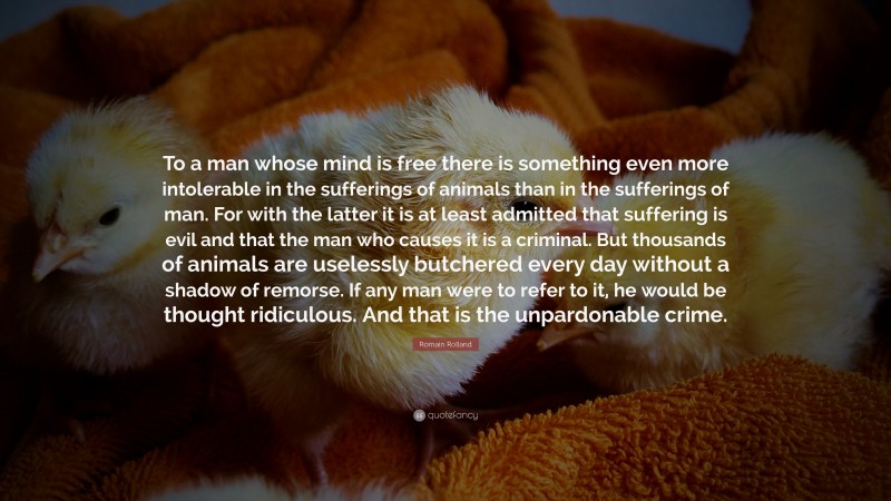Romain Rolland Quote: “To a man whose mind is free there is something even more intolerable in the sufferings of animals than in the sufferings of man. For with the latter it is at least admitted that suffering is evil and that the man who causes it is a criminal. But thousands of animals are uselessly butchered every day without a shadow of remorse. If any man were to refer to it, he would be thought ridiculous. And that is the unpardonable crime.”