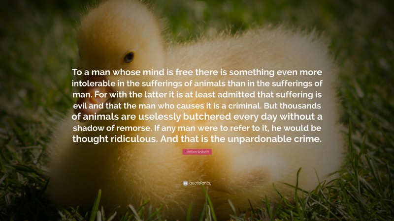 Romain Rolland Quote: “To a man whose mind is free there is something even more intolerable in the sufferings of animals than in the sufferings of man. For with the latter it is at least admitted that suffering is evil and that the man who causes it is a criminal. But thousands of animals are uselessly butchered every day without a shadow of remorse. If any man were to refer to it, he would be thought ridiculous. And that is the unpardonable crime.”