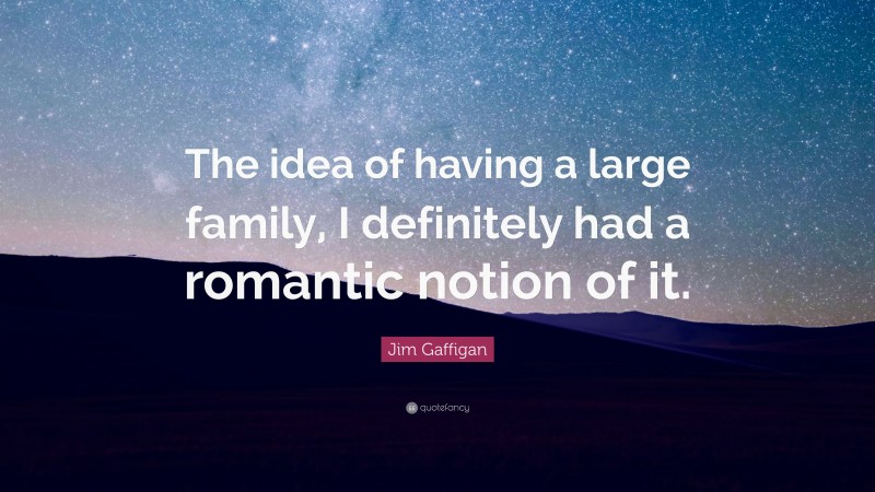 Jim Gaffigan Quote: “The idea of having a large family, I definitely had a romantic notion of it.”