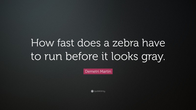 Demetri Martin Quote: “How fast does a zebra have to run before it looks gray.”