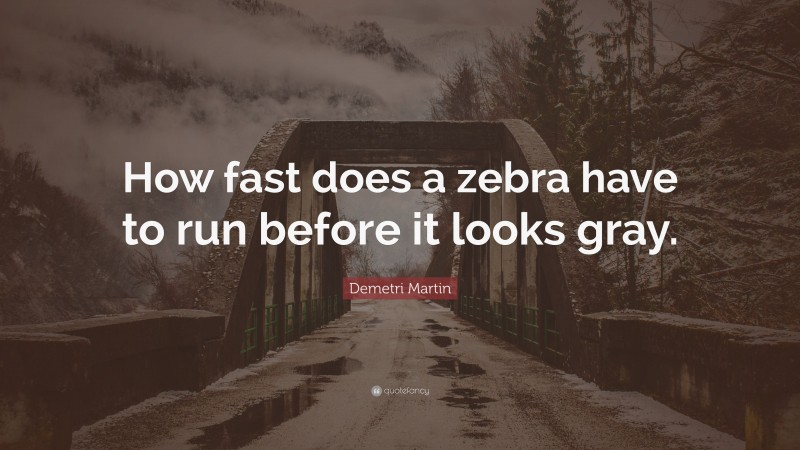 Demetri Martin Quote: “How fast does a zebra have to run before it looks gray.”