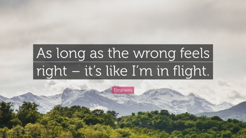 Eminem Quote: “As long as the wrong feels right – it’s like I’m in flight.”