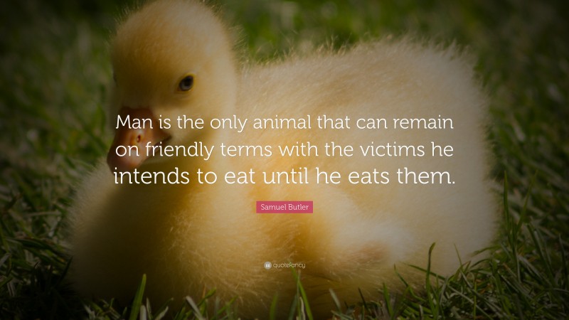 Samuel Butler Quote: “Man is the only animal that can remain on friendly terms with the victims he intends to eat until he eats them.”