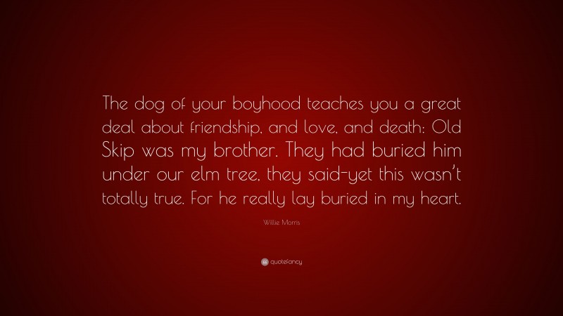 Willie Morris Quote: “The dog of your boyhood teaches you a great deal about friendship, and love, and death: Old Skip was my brother. They had buried him under our elm tree, they said-yet this wasn’t totally true. For he really lay buried in my heart.”