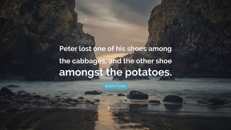 Beatrix Potter Quote: “Peter lost one of his shoes among the cabbages, and the other shoe amongst the potatoes.”