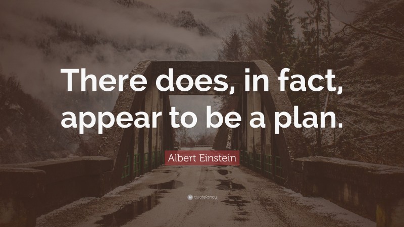 Albert Einstein Quote: “There does, in fact, appear to be a plan.”