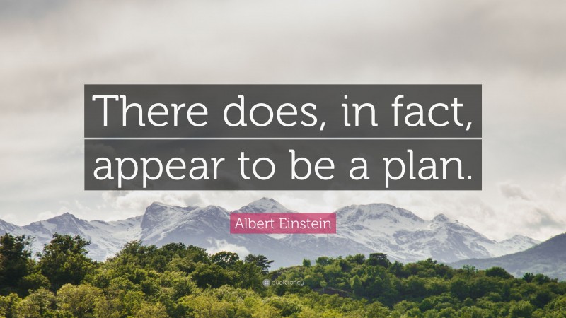 Albert Einstein Quote: “There does, in fact, appear to be a plan.”