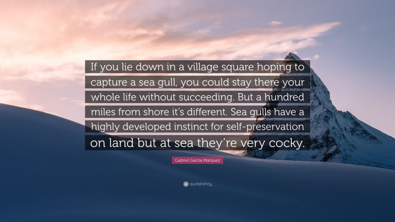 Gabriel Garcí­a Márquez Quote: “If you lie down in a village square hoping to capture a sea gull, you could stay there your whole life without succeeding. But a hundred miles from shore it’s different. Sea gulls have a highly developed instinct for self-preservation on land but at sea they’re very cocky.”