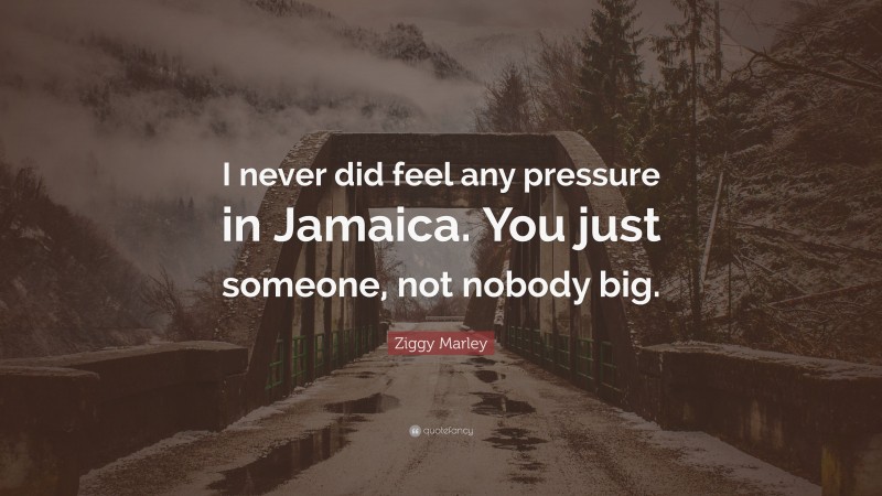 Ziggy Marley Quote: “I never did feel any pressure in Jamaica. You just someone, not nobody big.”