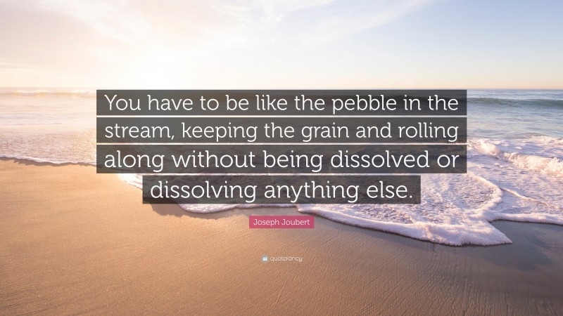 Joseph Joubert Quote: “You have to be like the pebble in the stream, keeping the grain and rolling along without being dissolved or dissolving anything else.”