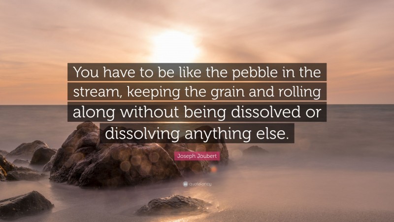 Joseph Joubert Quote: “You have to be like the pebble in the stream, keeping the grain and rolling along without being dissolved or dissolving anything else.”