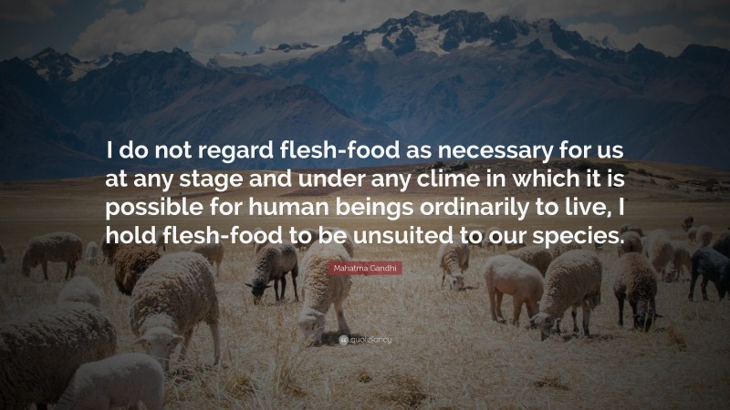 Mahatma Gandhi Quote: “I do not regard flesh-food as necessary for us at any stage and under any clime in which it is possible for human beings ordinarily to live, I hold flesh-food to be unsuited to our species.”