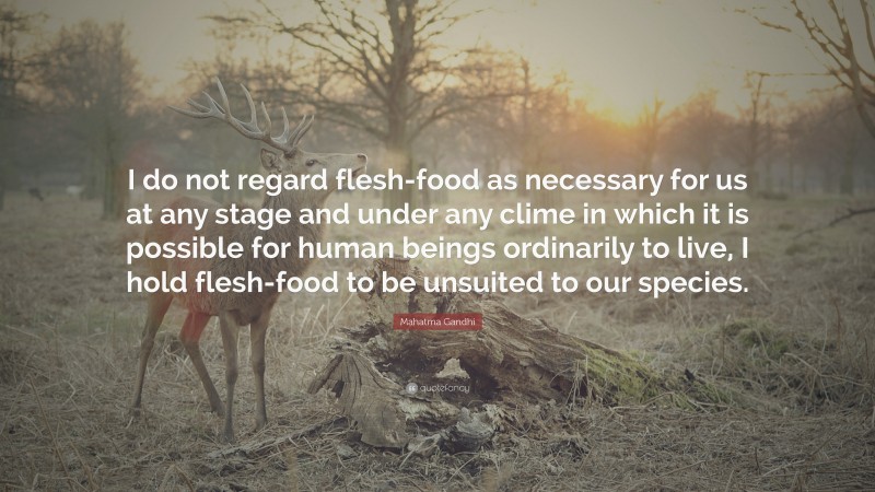 Mahatma Gandhi Quote: “I do not regard flesh-food as necessary for us at any stage and under any clime in which it is possible for human beings ordinarily to live, I hold flesh-food to be unsuited to our species.”