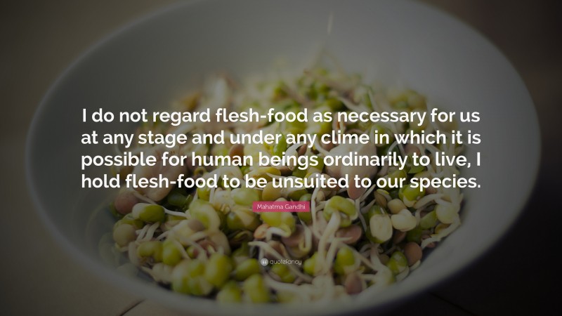 Mahatma Gandhi Quote: “I do not regard flesh-food as necessary for us at any stage and under any clime in which it is possible for human beings ordinarily to live, I hold flesh-food to be unsuited to our species.”