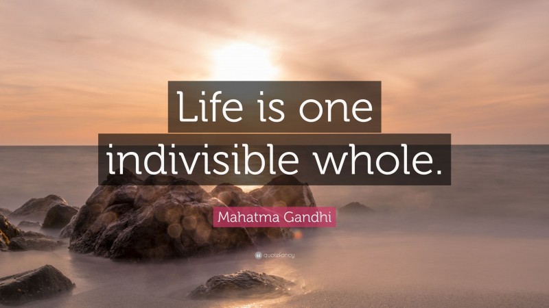 Mahatma Gandhi Quote: “Life is one indivisible whole.”