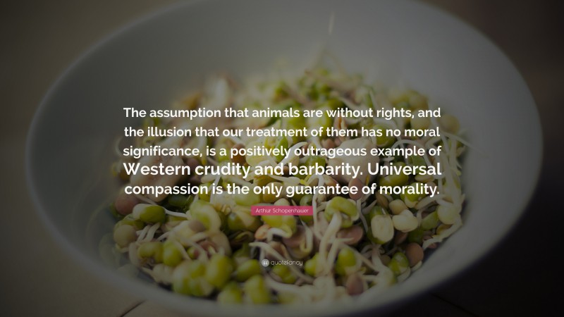 Arthur Schopenhauer Quote: “The assumption that animals are without rights, and the illusion that our treatment of them has no moral significance, is a positively outrageous example of Western crudity and barbarity. Universal compassion is the only guarantee of morality.”