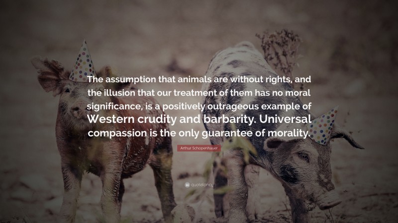 Arthur Schopenhauer Quote: “The assumption that animals are without rights, and the illusion that our treatment of them has no moral significance, is a positively outrageous example of Western crudity and barbarity. Universal compassion is the only guarantee of morality.”