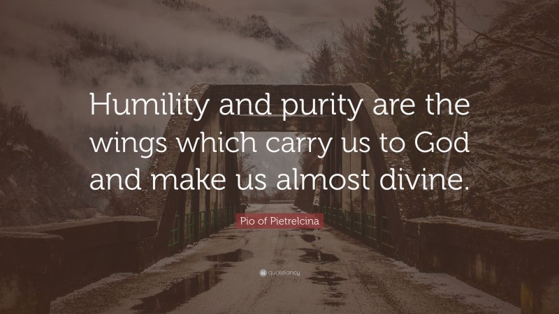 Pio of Pietrelcina Quote: “Humility and purity are the wings which carry us to God and make us almost divine.”