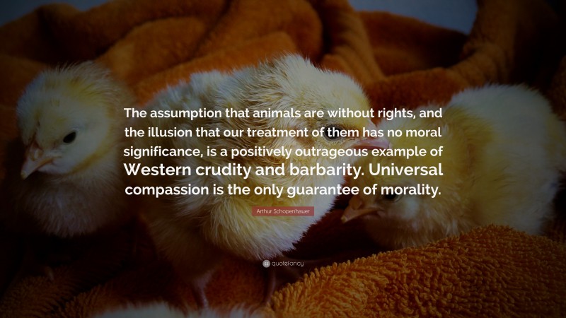Arthur Schopenhauer Quote: “The assumption that animals are without rights, and the illusion that our treatment of them has no moral significance, is a positively outrageous example of Western crudity and barbarity. Universal compassion is the only guarantee of morality.”