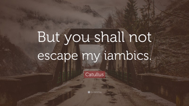 Catullus Quote: “But you shall not escape my iambics.”