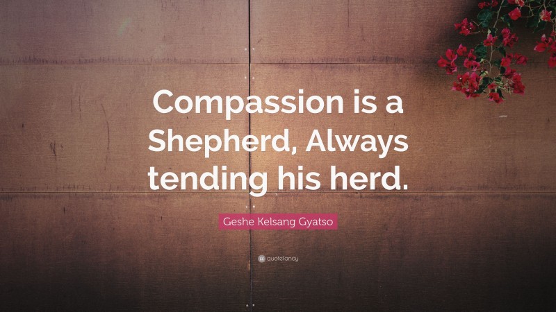 Geshe Kelsang Gyatso Quote: “Compassion is a Shepherd, Always tending his herd.”