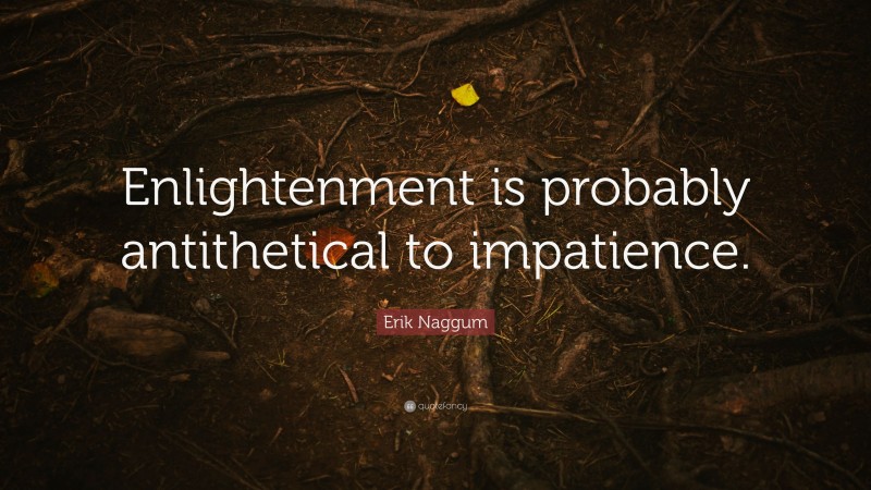 Erik Naggum Quote: “Enlightenment is probably antithetical to impatience.”