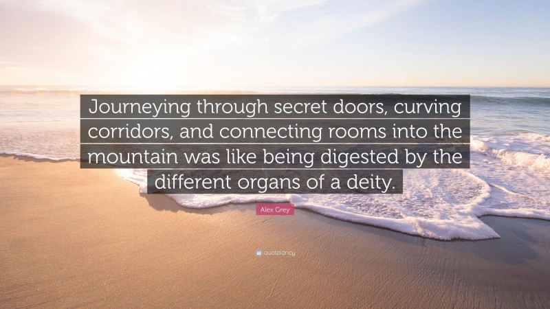 Alex Grey Quote: “Journeying through secret doors, curving corridors, and connecting rooms into the mountain was like being digested by the different organs of a deity.”