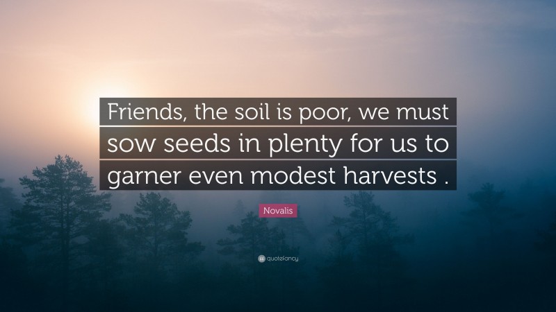 Novalis Quote: “Friends, the soil is poor, we must sow seeds in plenty for us to garner even modest harvests .”