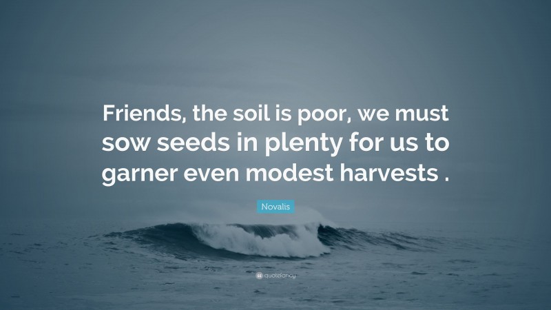 Novalis Quote: “Friends, the soil is poor, we must sow seeds in plenty for us to garner even modest harvests .”