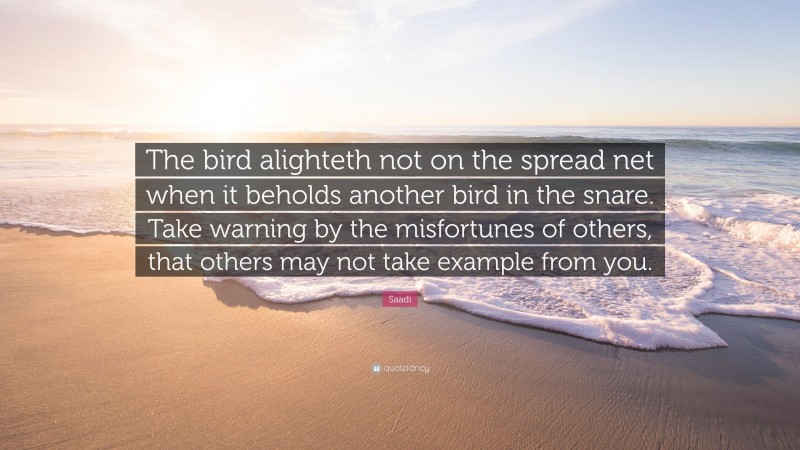 Saadi Quote: “The bird alighteth not on the spread net when it beholds another bird in the snare. Take warning by the misfortunes of others, that others may not take example from you.”