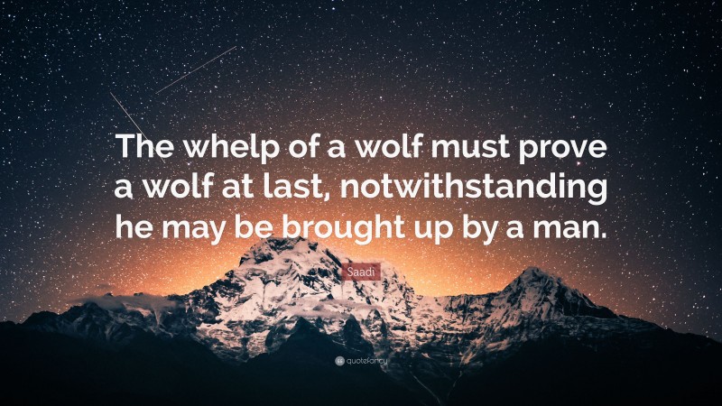 Saadi Quote: “The whelp of a wolf must prove a wolf at last, notwithstanding he may be brought up by a man.”